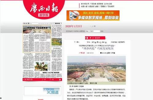 新闻头条广西平南,聚焦乡村振兴，共绘美好家园新画卷