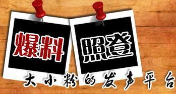 大新闻如何爆料,如何精准爆料引发社会关注