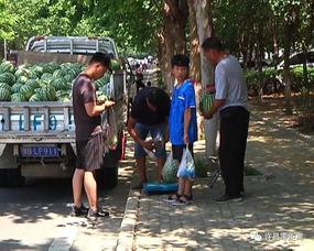 邹平吃瓜群众,揭秘当地生活百态