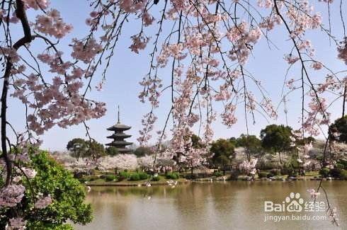 长沙网红春季游玩的地方,长沙春季网红打卡地探秘