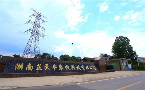 芷江网红有哪些公司,揭秘网红孵化公司大盘点