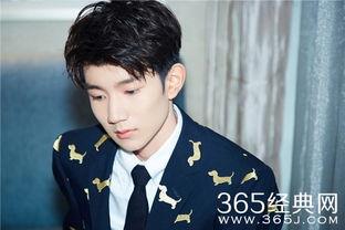 明星看王源,闪耀星途，青春偶像的璀璨光芒