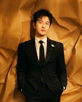 男明星大陆,大陆男明星风采掠影