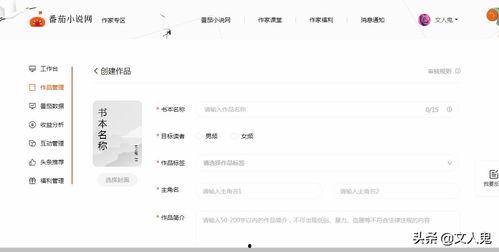 头条小说收入最高女作者,揭秘收入最高女作者背后的传奇故事