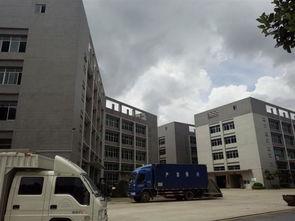 永安县今年新闻头条,揭秘绿色能源新突破，助力可持续发展新篇章