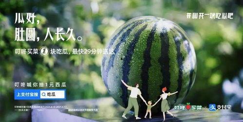 叮咚吃瓜加速版,揭秘娱乐圈幕后风云