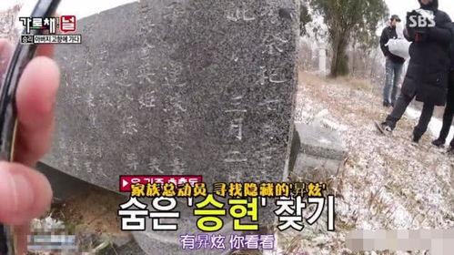 明星唯美墓碑图片,明星墓碑的唯美瞬间