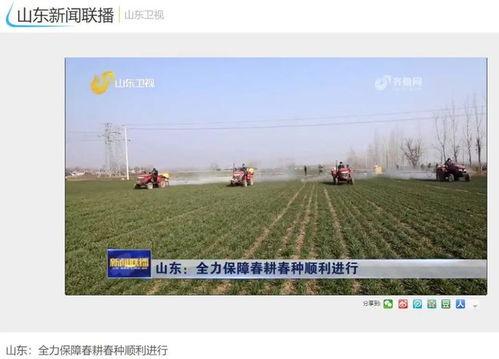 山东新闻今日头条三农,聚焦乡村振兴战略成果